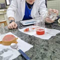 2025-9ano-instituto-sagrada-familia-santo-andre-2