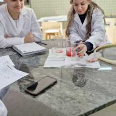 2025-9ano-instituto-sagrada-familia-santo-andre-3