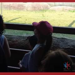 2023-passeio-isf-15