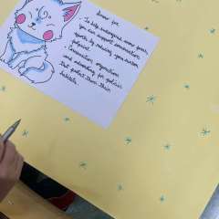 2025-5ano-instituto-sagrada-familia-santo-andre-6