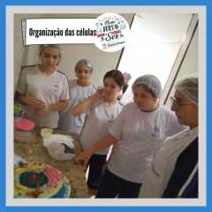 isf-redebeneditina-3