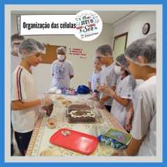 isf-redebeneditina-4