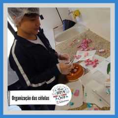 isf-redebeneditina-6