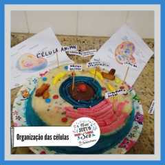isf-redebeneditina-7