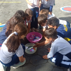 2025-ciencia-2ano-instituto-sagrada-familia-santo-andre-1