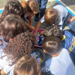 2025-ciencia-2ano-instituto-sagrada-familia-santo-andre-2