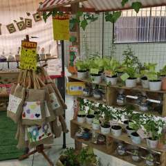 2025-feira-sebrae-instituto-sagrada-familia-santo-andre-2