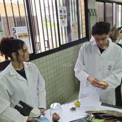2025-feira-sebrae-instituto-sagrada-familia-santo-andre-21