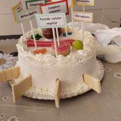 2026-6ano-santo-andre-instituto-sagrada-familia-10