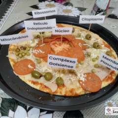 2026-6ano-santo-andre-instituto-sagrada-familia-6