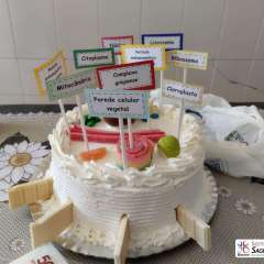 2026-6ano-santo-andre-instituto-sagrada-familia-9