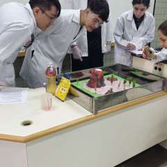 2025-ensino-medio-instituto-sagrada-familia-santo-andre8