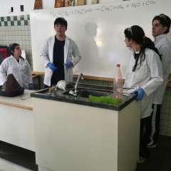 2025-ensino-medio-instituto-sagrada-familia-santo-andre9