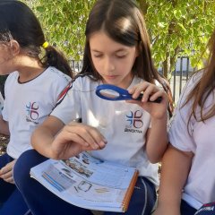 2023-solo-3ano-isf-1