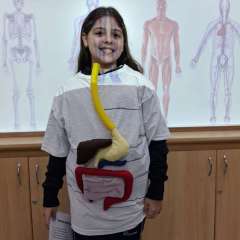 2026-ciencias-instituto-sagrada-familia-santo-sandre-sp-1-2