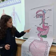 2026-ciencias-instituto-sagrada-familia-santo-sandre-sp-1-8