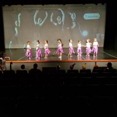 2025-dia-circo-instituto-sagrada-familia-3