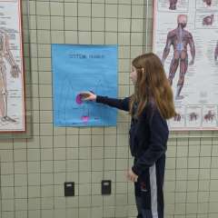 2025-5ano-instituto-sagrada-familia-santo-andre-12