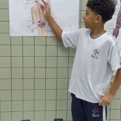 2025-5ano-instituto-sagrada-familia-santo-andre-14