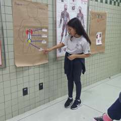 2025-5ano-instituto-sagrada-familia-santo-andre-18