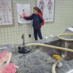 2025-5ano-instituto-sagrada-familia-santo-andre-5