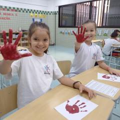 2025-2ano-instituto-sagrada-familia-10