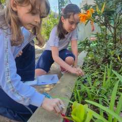 2025-3ano-instituto-sagrada-familia-santo-andre-1