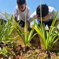 2025-3ano-instituto-sagrada-familia-santo-andre-10