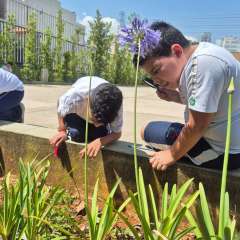 2025-3ano-instituto-sagrada-familia-santo-andre-13