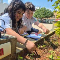 2025-3ano-instituto-sagrada-familia-santo-andre-14