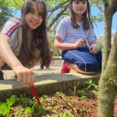 2025-3ano-instituto-sagrada-familia-santo-andre-3