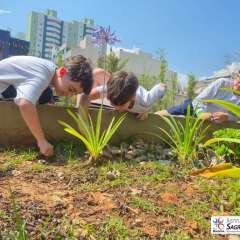 2025-3ano-instituto-sagrada-familia-santo-andre-4