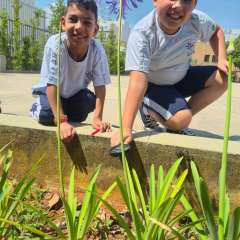 2025-3ano-instituto-sagrada-familia-santo-andre-8