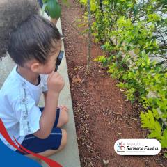 2025-ed-infantil-instituto-sagrada-familia-4