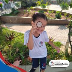 2025-ed-infantil-instituto-sagrada-familia-8