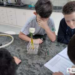 2026-7ano-instituto-sagrada-familia-santo-andre-7