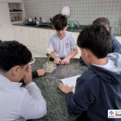 2026-7ano-instituto-sagrada-familia-santo-andre-9