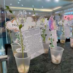 2026-cf2026-instituto-sagrada-familia-santo-andre-3