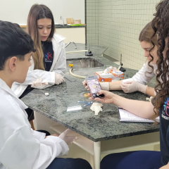 2025-laboratorio-ensino-medio-instituto-sagrada-familia-5