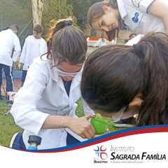 2024-mobfof-isf-6