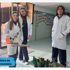 Cópia de Cópia de Cópia de Cópia de Cópia de Chalkboard School Class Syllabus Education Presentation - 2