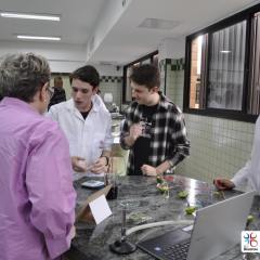 2024-mostra-cultural-isf-46