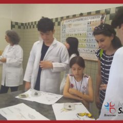 2023-mostra-cultural-1-isf-67