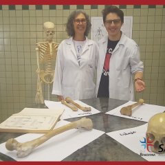 2023-mostra-cultural-1-isf-77