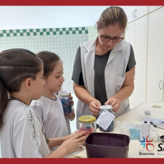 Cópia de Cópia de Cópia de Cópia de Cópia de Cópia de Cópia de Cópia de Cópia de Cópia de Cópia de Cópia de Cópia de Cópia de Cópia de Cópia de Cópia de Chalkboard School Class Syllabus Education Presentation - 211