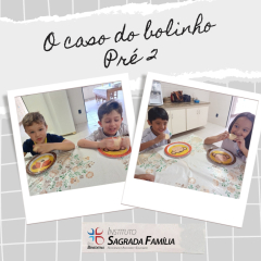 2024-caso-bolinho-isf-1