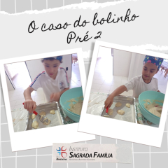 2024-caso-bolinho-isf-2