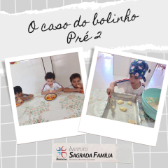 2024-caso-bolinho-isf-3