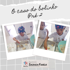 2024-caso-bolinho-isf-4