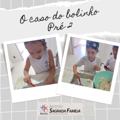 2024-caso-bolinho-isf-5